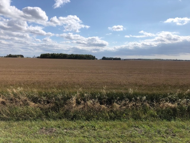 Family Farm Organic Flaxseed field - Goldenflax.com